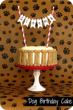 Dog Birthday Cake Dog Birthday Cake