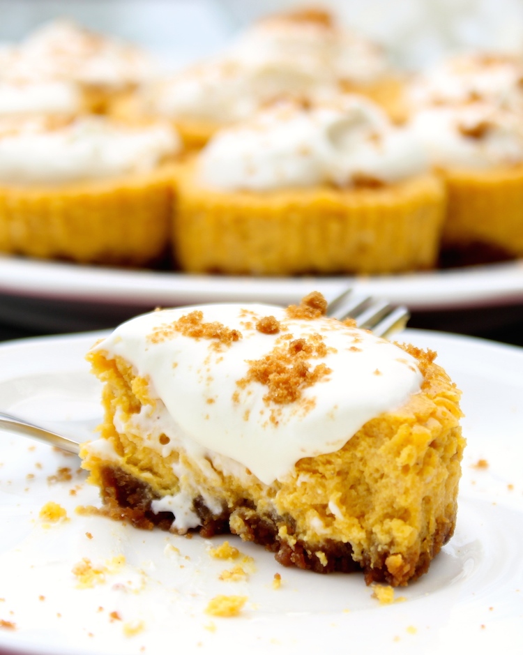 Gingersnap Mini Pumpkin Cheesecake Gingersnap Mini Pumpkin Cheesecake