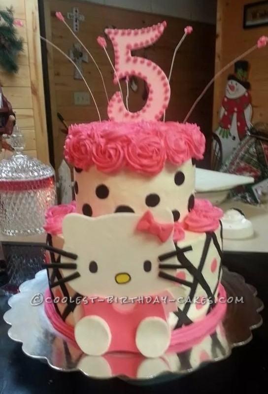5 Year Old Girl Birthday Cake 5 Year Old Girl Birthday Cake