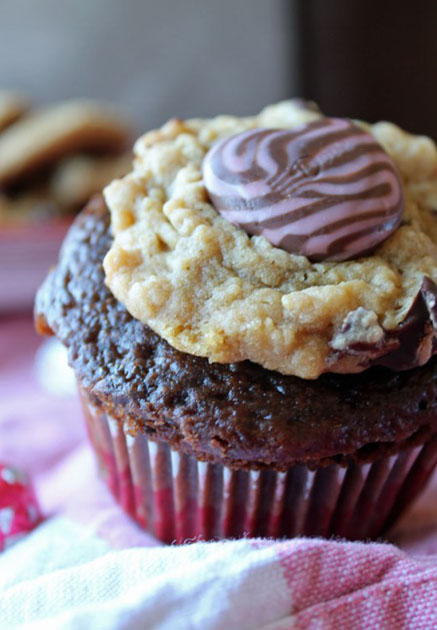 7 Photos of Chocolate Cupcakes With Cheesecake Filling 7 Photos of Chocolate Cupcakes With Cheesecake Filling