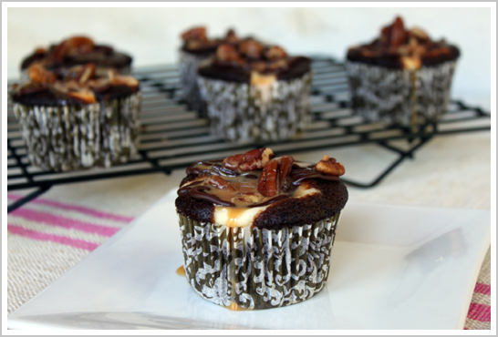 7 Photos of Chocolate Turtle Cheesecake Cupcakes 7 Photos of Chocolate Turtle Cheesecake Cupcakes
