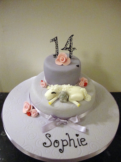 Girls 14th Birthday Cake Girls 14th Birthday Cake