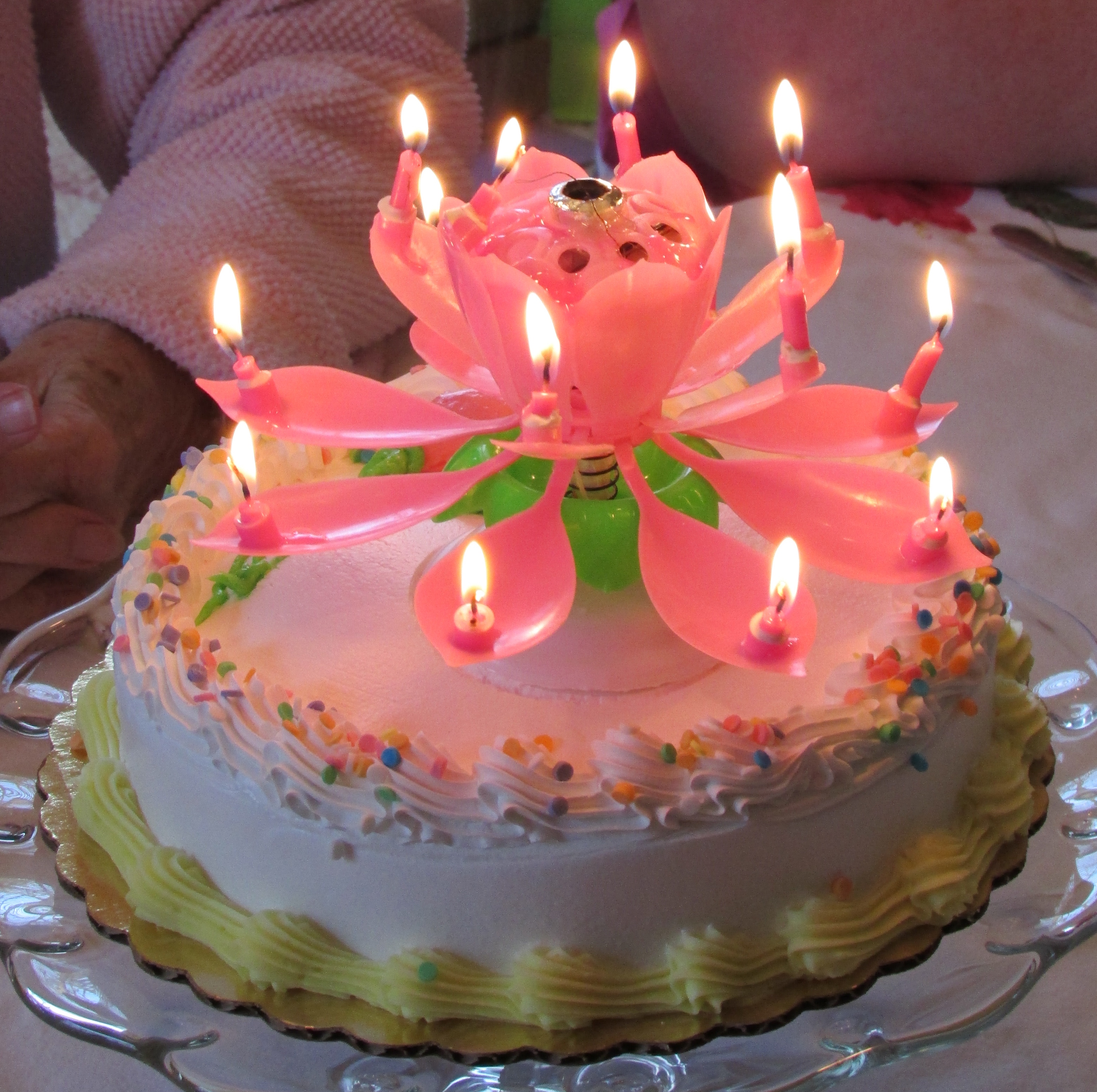 12 cakes with happy birthday grown daughter photo happy birthday