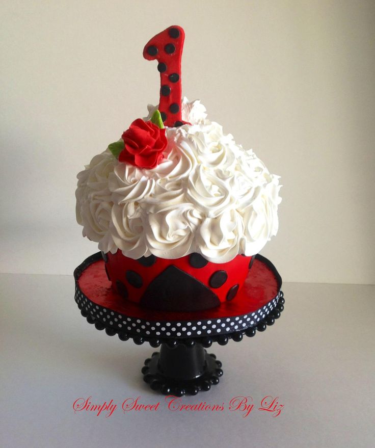Lady Bug Smash Cake Lady Bug Smash Cake