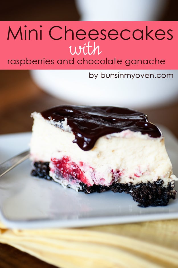 Chocolate and Raspberry Mini Cheesecakes Chocolate and Raspberry Mini Cheesecakes