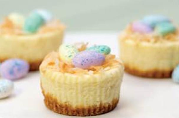 Easter Mini Cheesecakes Philadelphia Easter Mini Cheesecakes Philadelphia