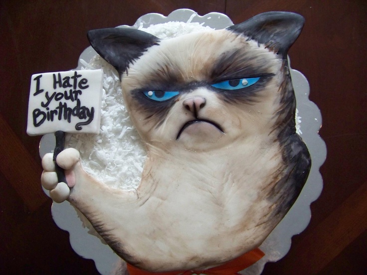 Grumpy Cat Birthday Cake Grumpy Cat Birthday Cake
