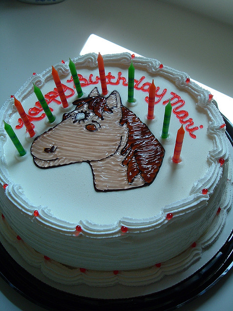Dairy Queen Birthday Cakes Dairy Queen Birthday Cakes