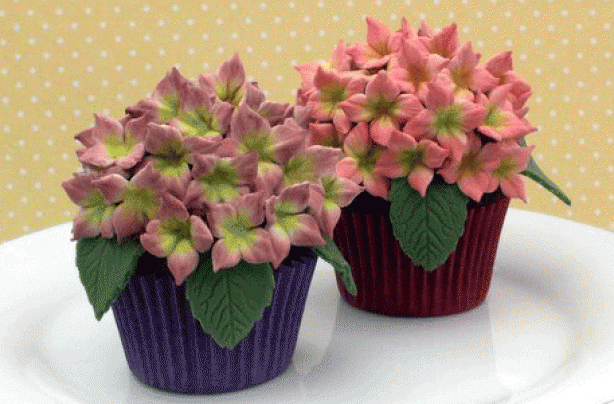 Hydrangea Cupcakes