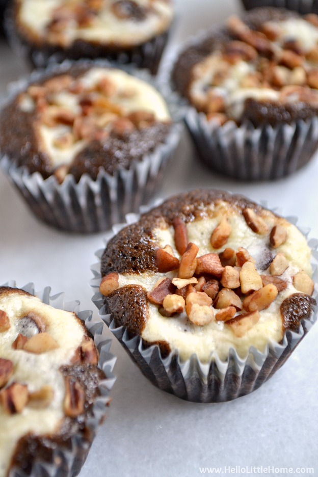 Mini Chocolate Chip Cheesecake Cupcake Recipe Mini Chocolate Chip Cheesecake Cupcake Recipe
