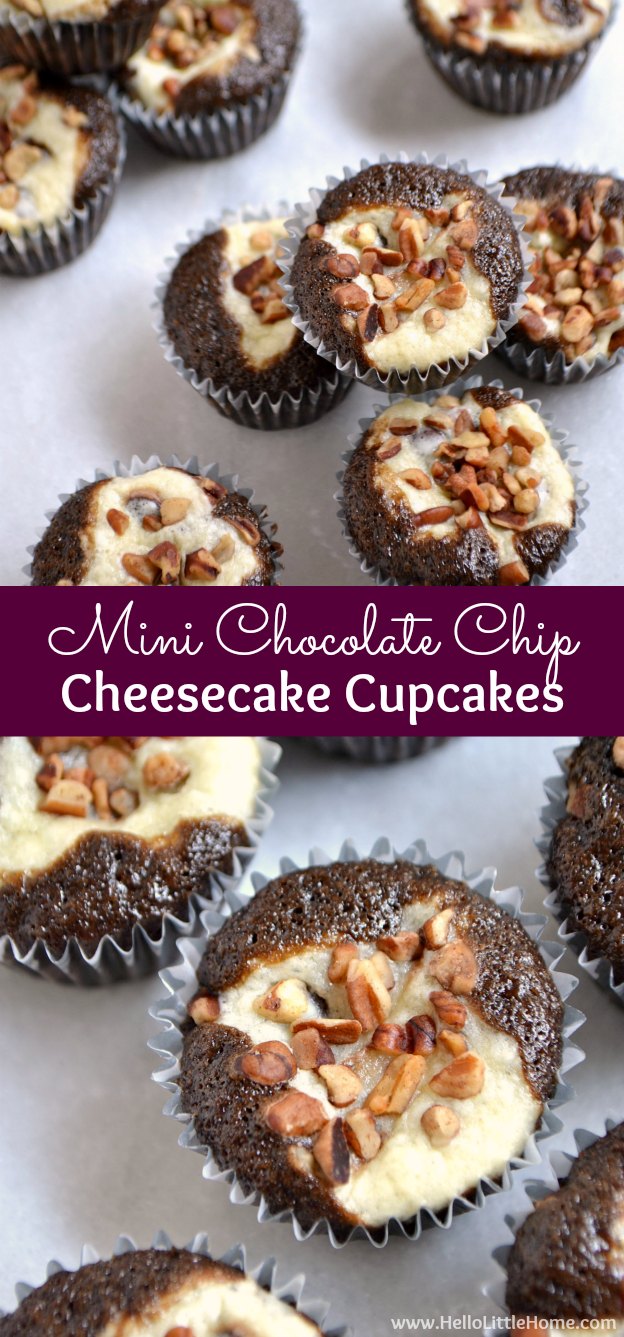 Mini Chocolate Chip Cheesecake Cupcake Recipe Mini Chocolate Chip Cheesecake Cupcake Recipe