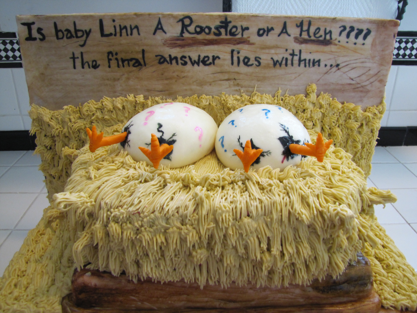 Baby Gender Reveal Cake Idea.