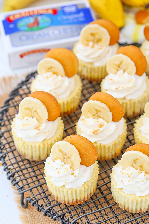 Banana Pudding Mini Cheesecakes Banana Pudding Mini Cheesecakes