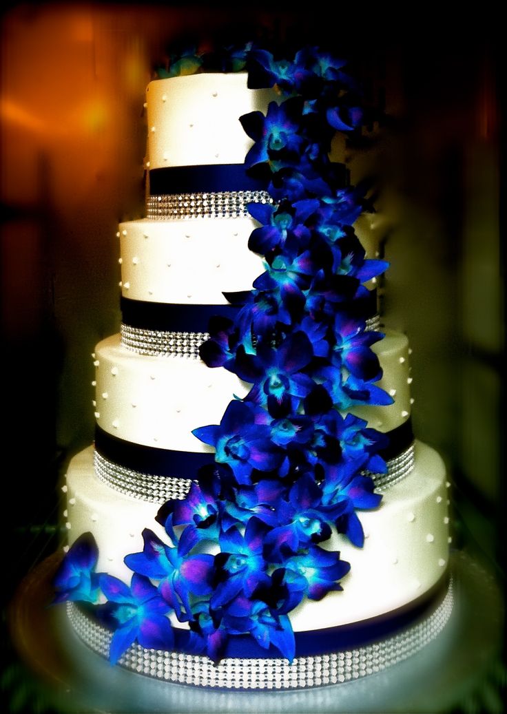 12 blue and purple