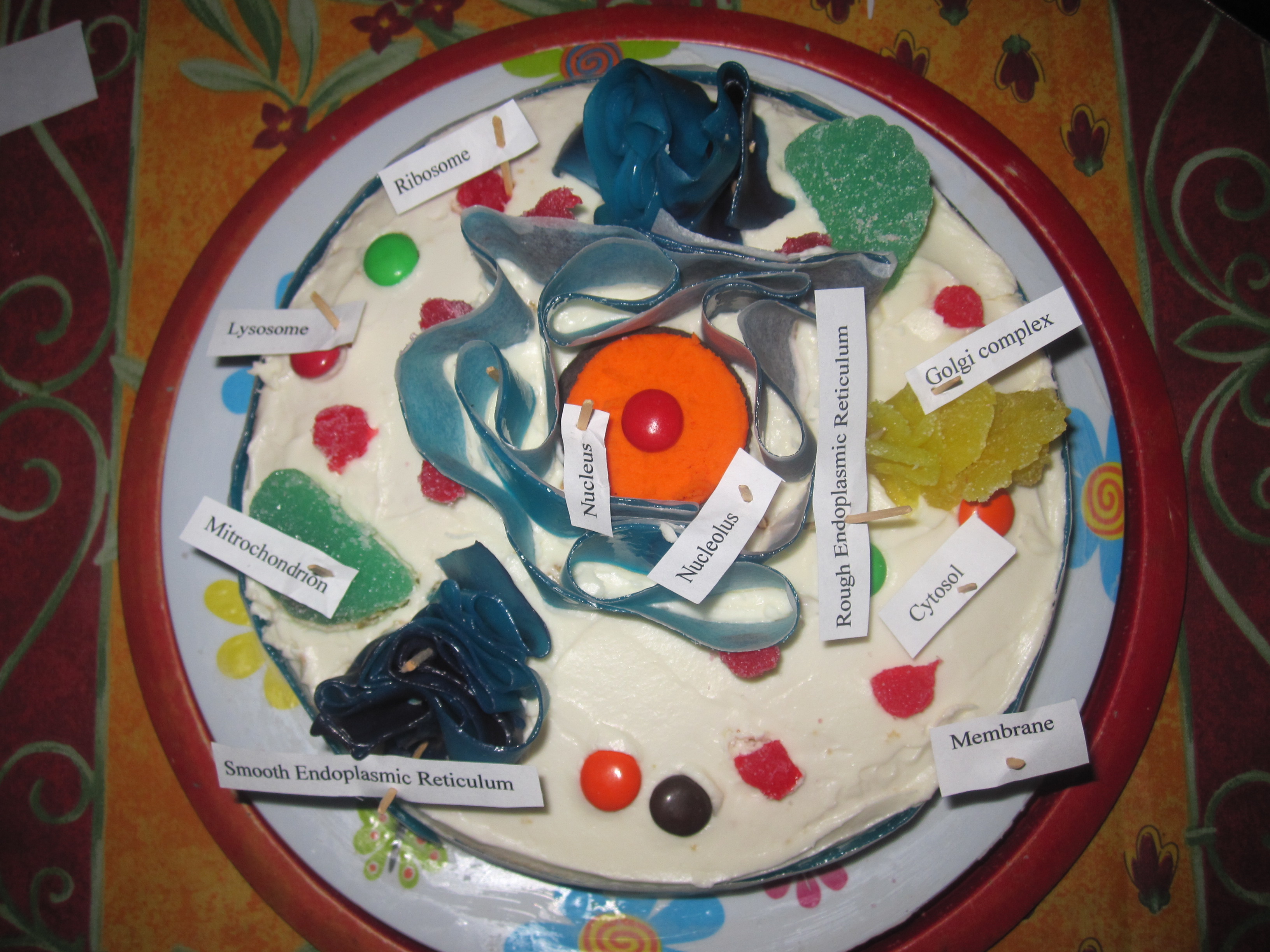 Cake Cell Model Project