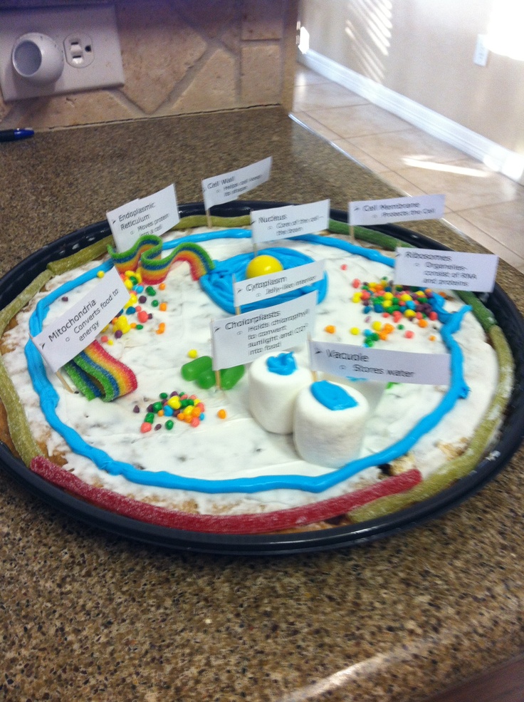 Cookie Cake Plant Cell Project