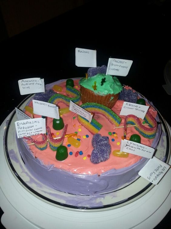 Edible Animal Cell Project