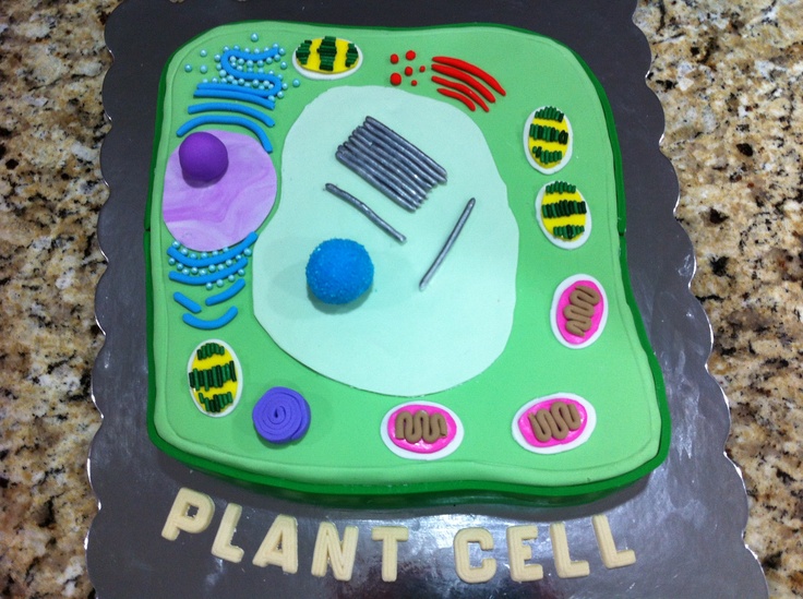 Plant Cell Cake