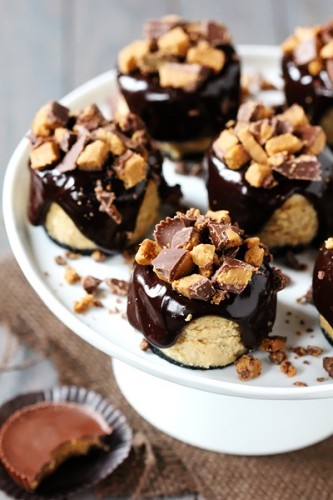 Reese's Peanut Butter Mini Cheesecakes Reese's Peanut Butter Mini Cheesecakes