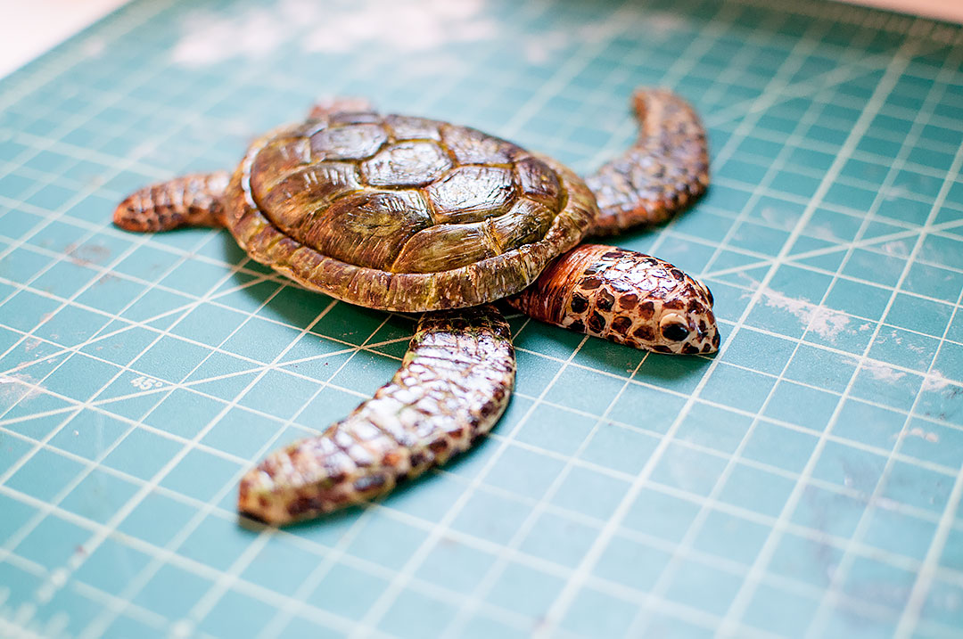 Sea Turtle Cake Sea Turtle Cake