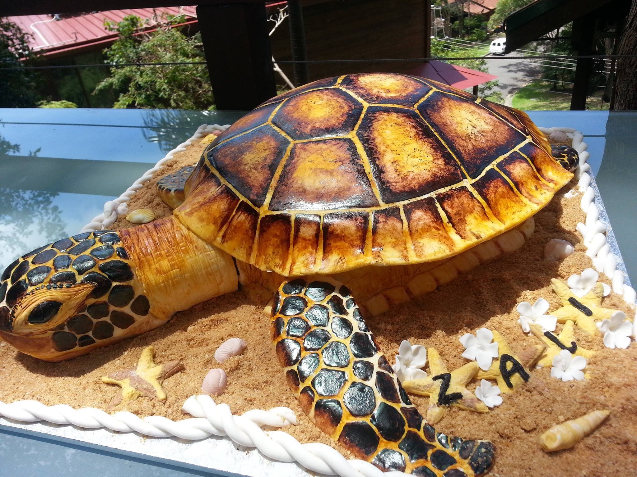 Sea Turtle Cake Sea Turtle Cake