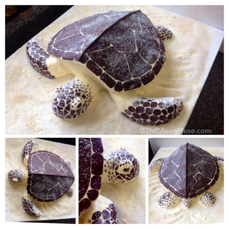 Turtle Shaped Cake Turtle Shaped Cake