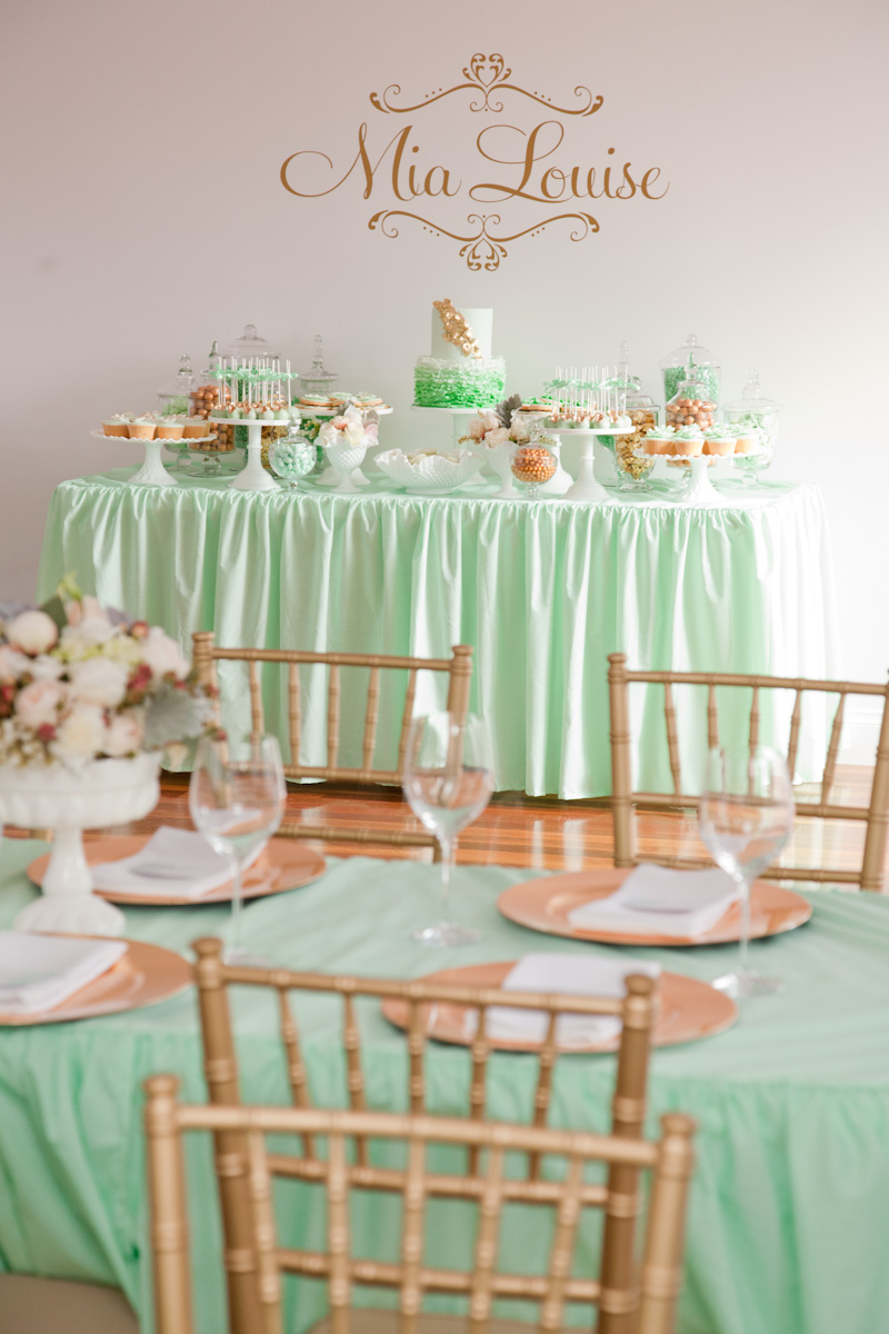 12 Baby Shower Cakes With Mint Color Photo Coral And Mint Baby