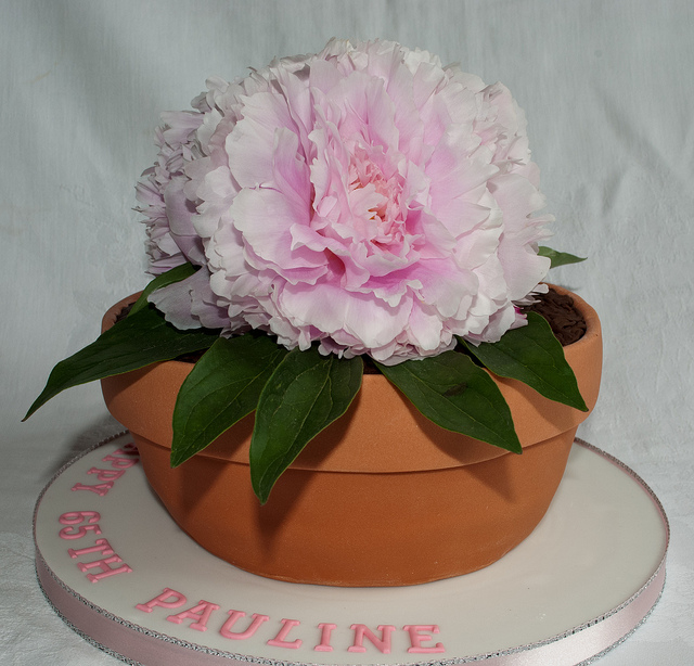 Birthday Cakes with Real Flowers Birthday Cakes with Real Flowers