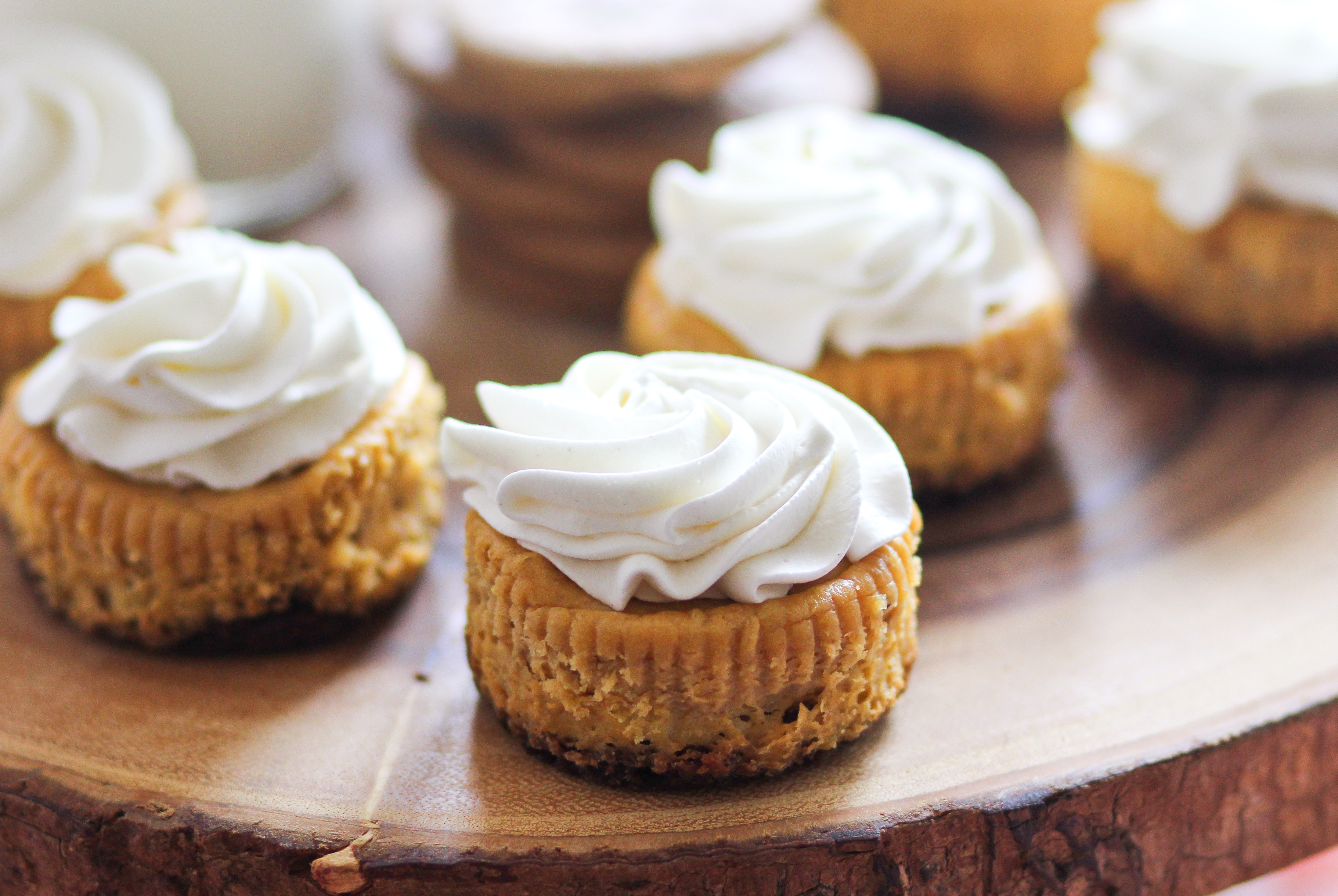 Mini Pumpkin Cheesecakes Recipe Mini Pumpkin Cheesecakes Recipe