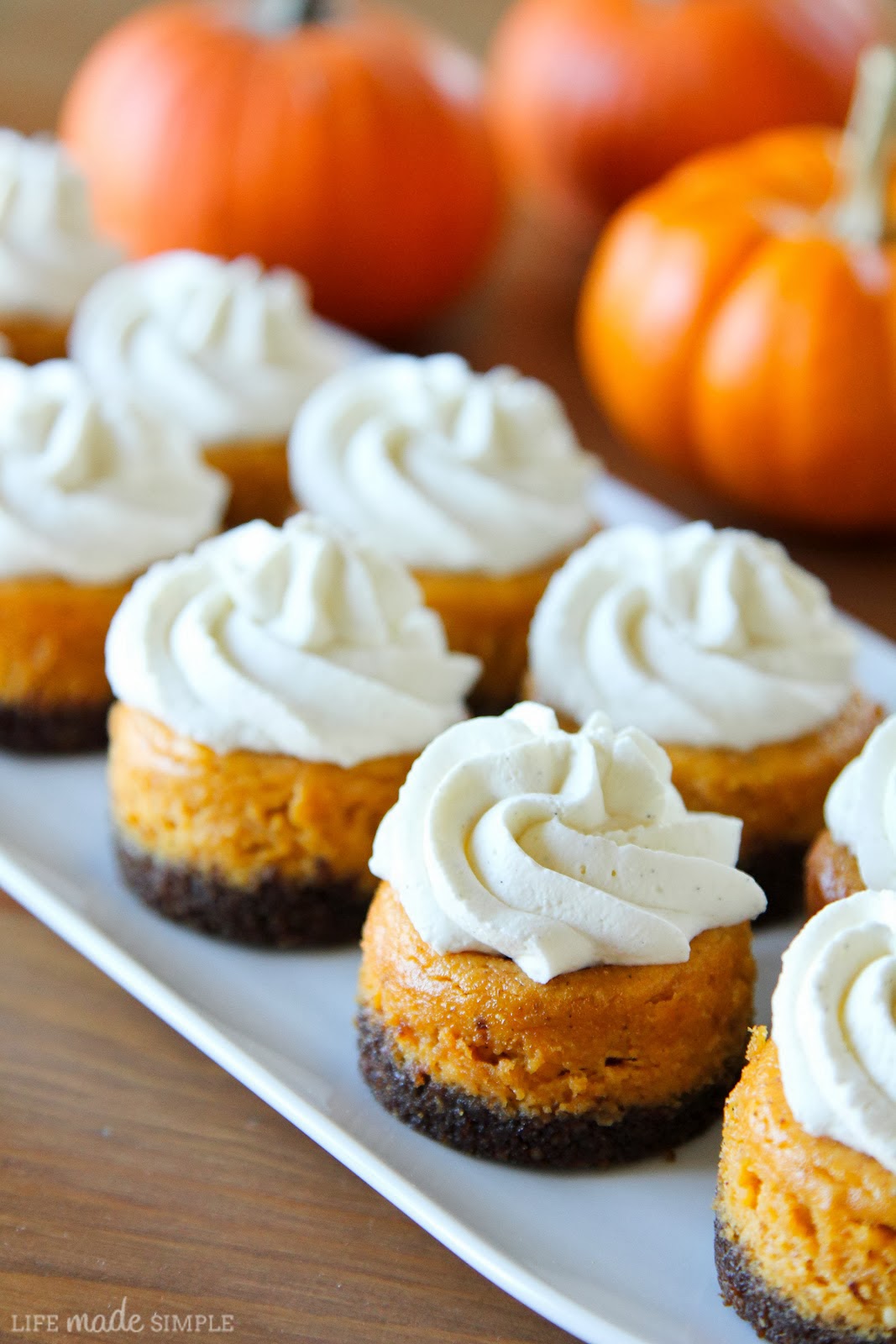 Mini Pumpkin Cheesecakes Recipe Mini Pumpkin Cheesecakes Recipe