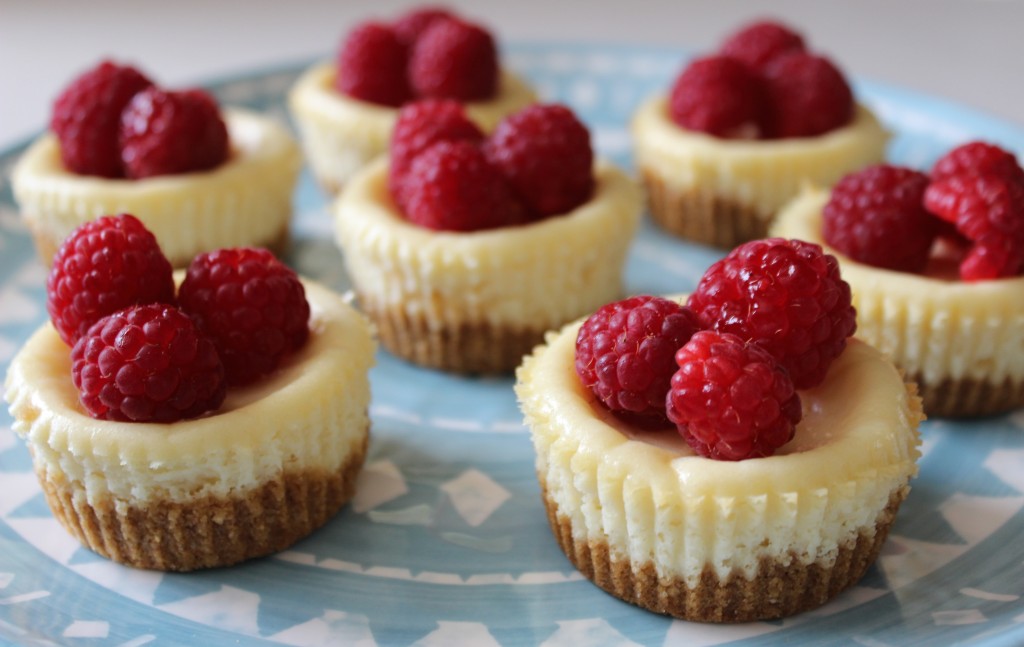 Easy Cheesecake Bites Recipe Easy Cheesecake Bites Recipe
