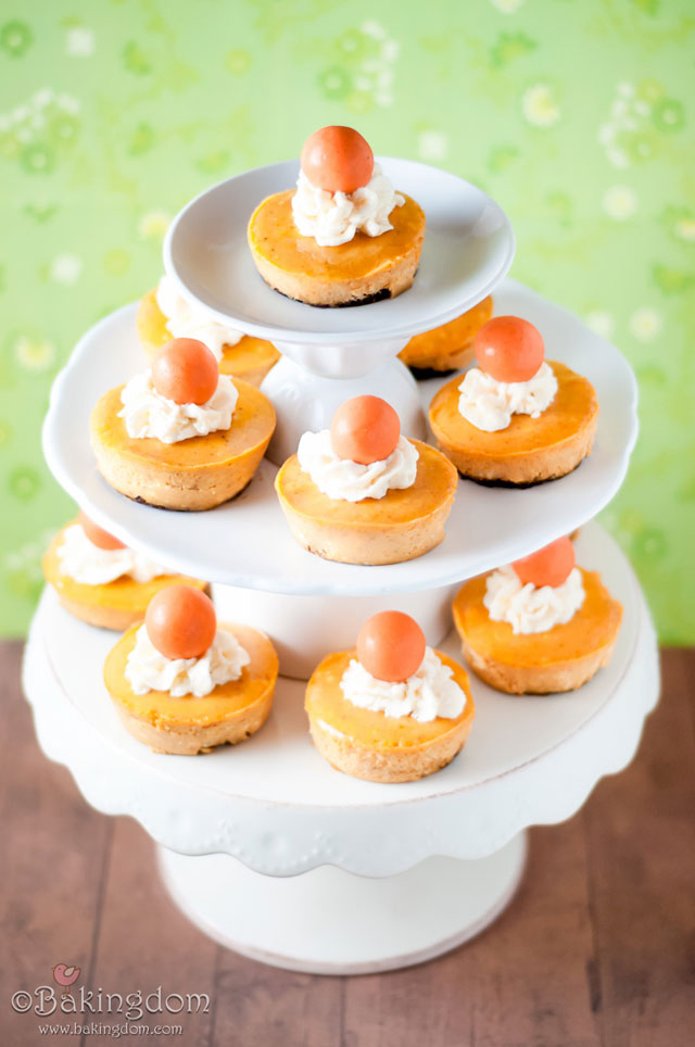 Mini Pumpkin Cheesecakes with Ginger Snaps Mini Pumpkin Cheesecakes with Ginger Snaps