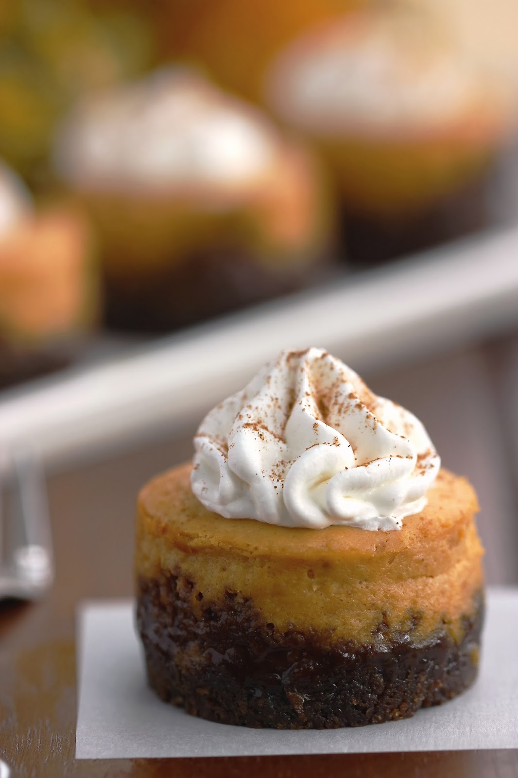 Pumpkin Cheesecake with Gingersnap Crust Pumpkin Cheesecake with Gingersnap Crust