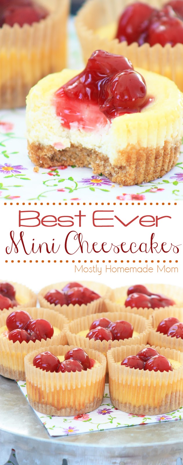Best Mini Cheesecake Recipe Ever Best Mini Cheesecake Recipe Ever