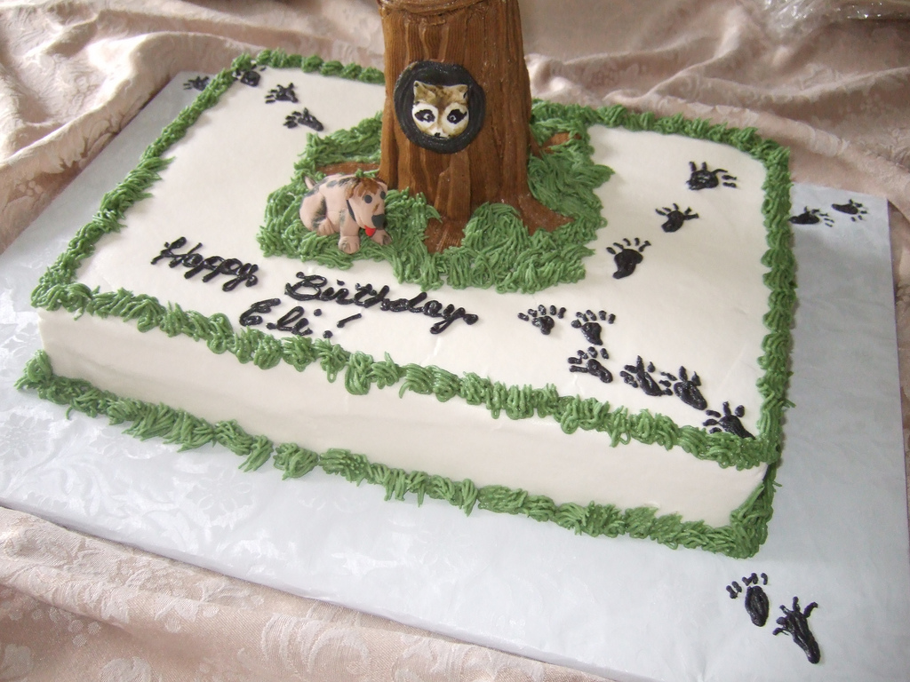 Coon Hunting Birthday Cakes Coon Hunting Birthday Cakes