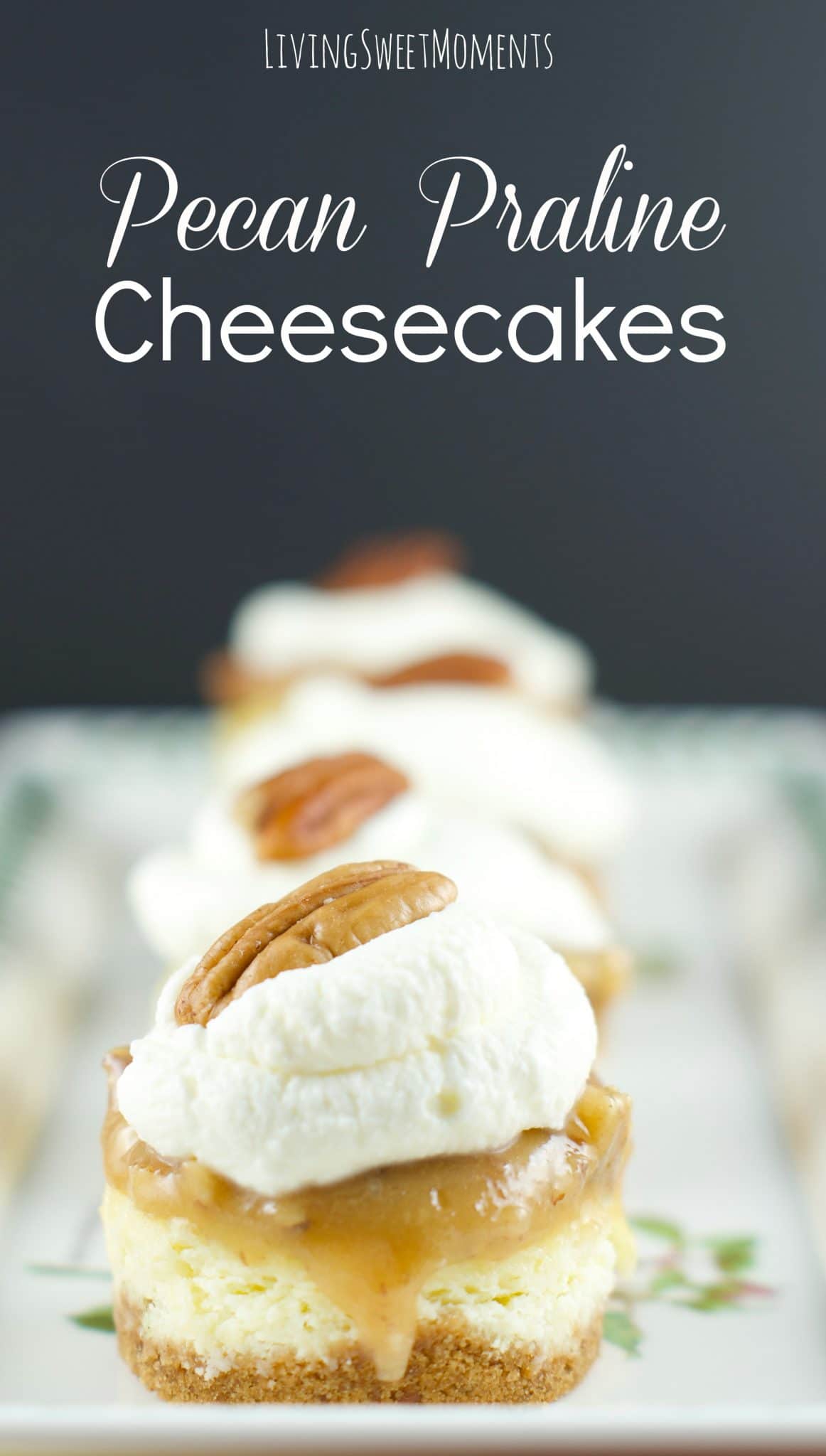 Pecan Praline Cheesecake Recipe Pecan Praline Cheesecake Recipe