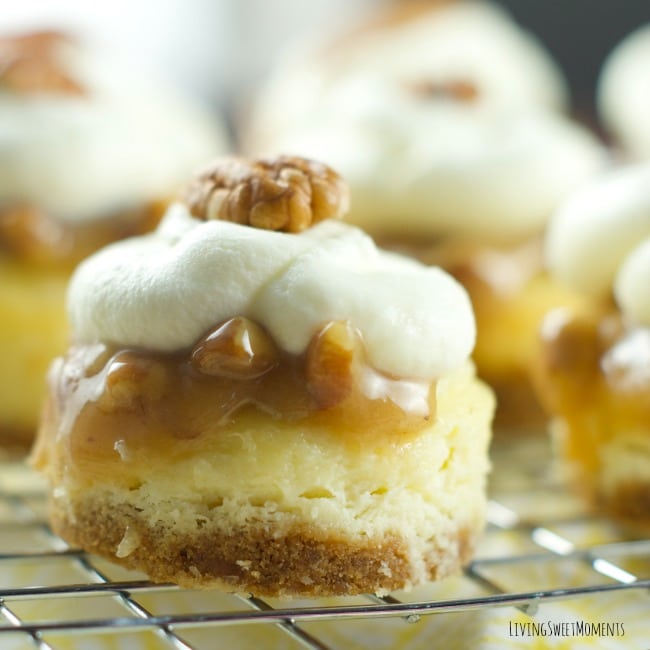 Pecan Praline Cheesecake Recipe Pecan Praline Cheesecake Recipe