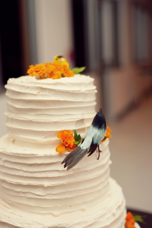 Publix Buttercream Wedding Cakes Publix Buttercream Wedding Cakes