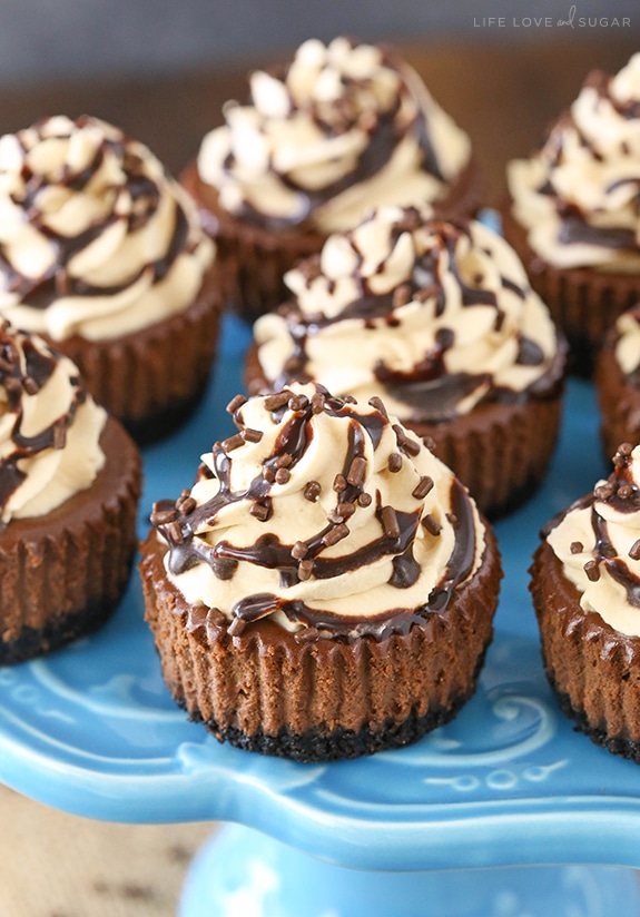 Bailey's Chocolate Mini Cheesecakes Bailey's Chocolate Mini Cheesecakes