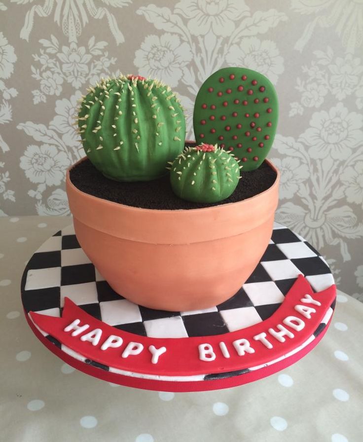 Cactus Cake Cactus Cake