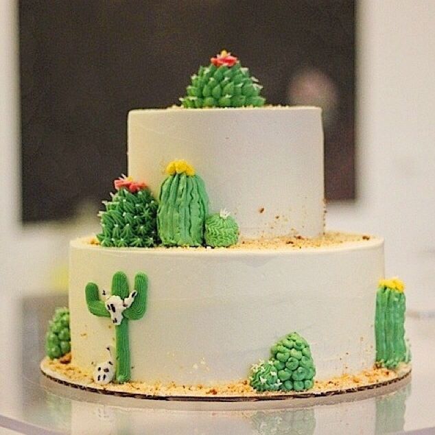Cactus Cake Cactus Cake