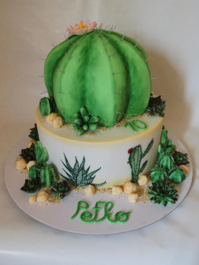Cactus Cake Cactus Cake