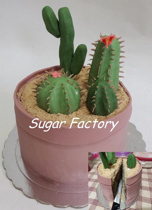 Cactus Cake Cactus Cake
