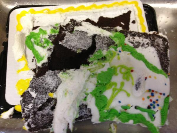 Cake Dropped On Floor Cake Dropped On Floor