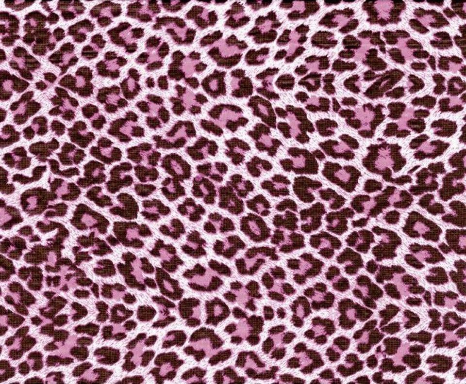 Cheetah Print Birthday Sheet Cake Cheetah Print Birthday Sheet Cake