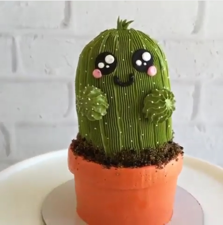 Cute Cactus Cake Cute Cactus Cake