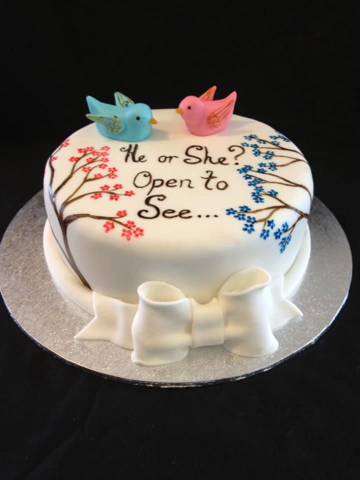 Gender Reveal Cake Idea Gender Reveal Cake Idea