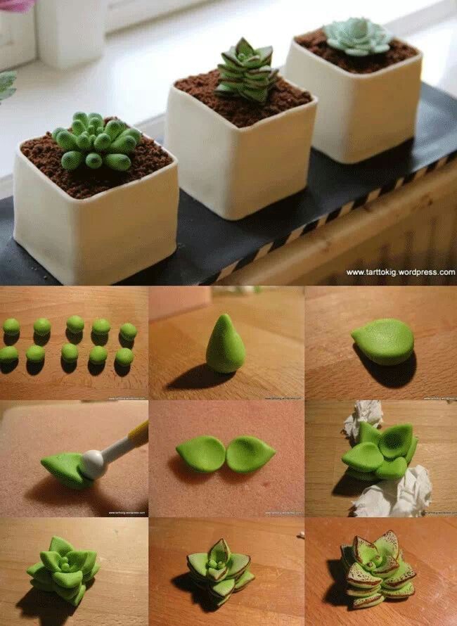 Images Succulent Cake Tutorial Images Succulent Cake Tutorial