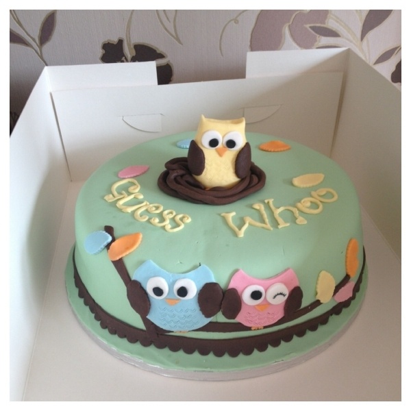 Owl Gender Reveal Cake Owl Gender Reveal Cake