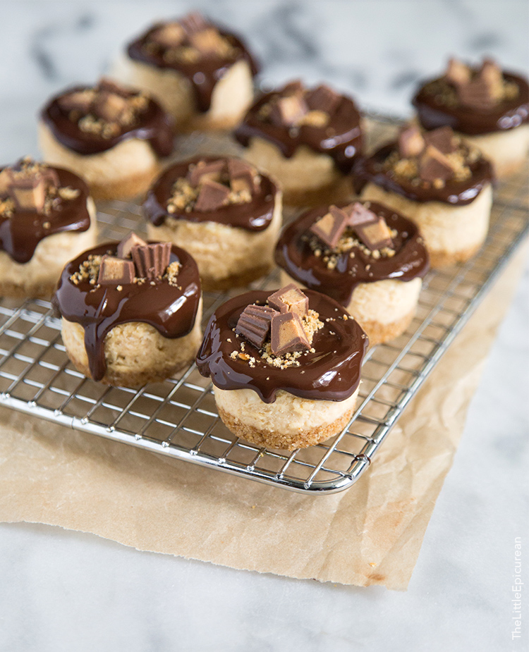 Pretzel Peanut Butter Mini Cheesecakes Pretzel Peanut Butter Mini Cheesecakes